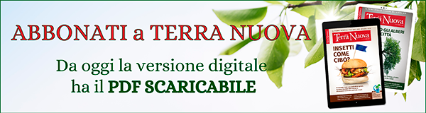 Nuovo digitale