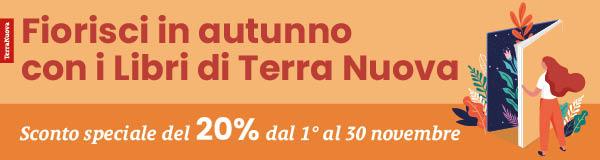 Promo 20% Novembre 25