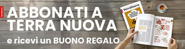 Promo abbonamento fine Ottobre 25