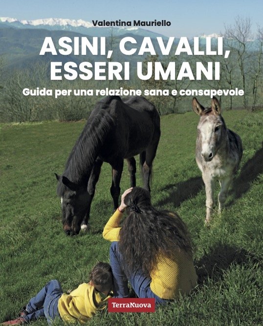 Asini, cavalli, esseri umani