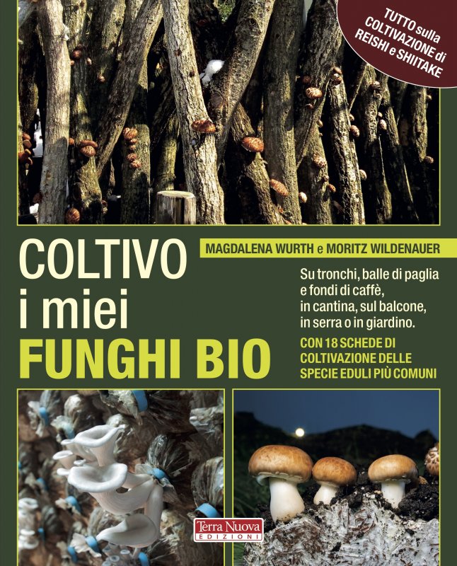 Coltivo i miei funghi bio