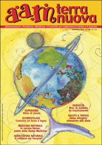Terra Nuova Novembre 2004 (digitale pdf)
