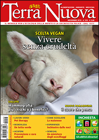 Terra Nuova Novembre 2010 (digitale pdf)