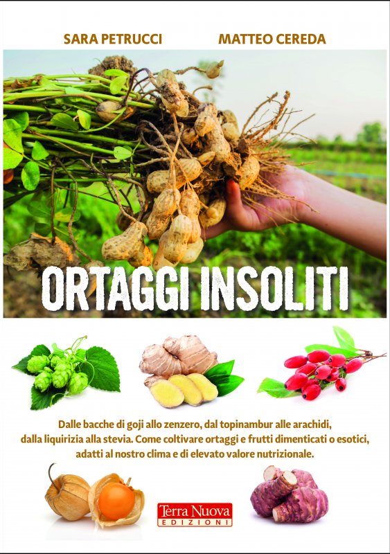 Ortaggi insoliti