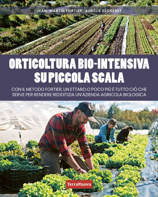 Orticoltura bio-intensiva su piccola scala