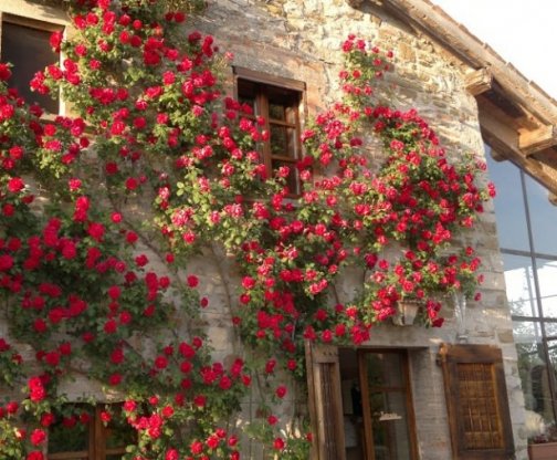 Pernottamento in camera singola per la notte del sabato corso Biotransenergetica