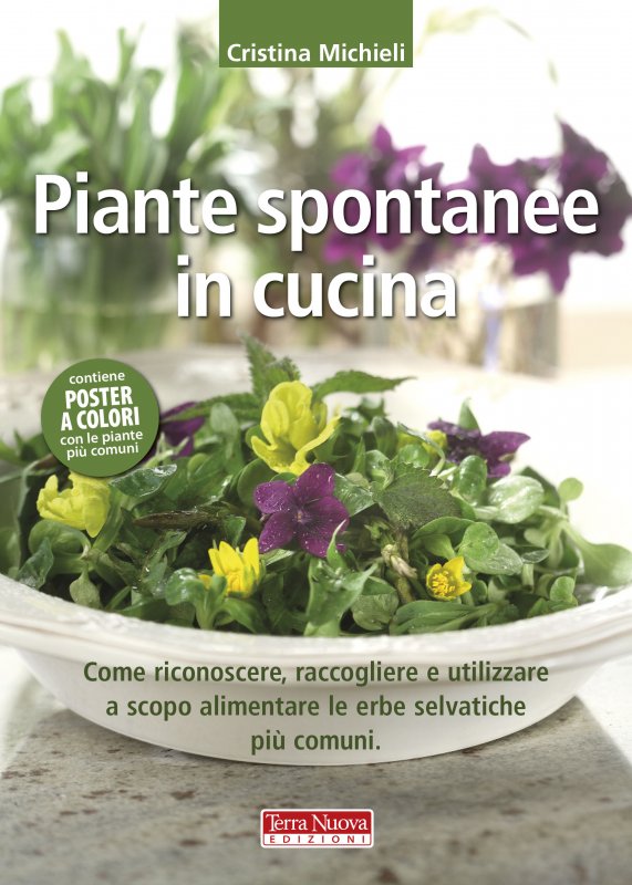 Piante spontanee in cucina