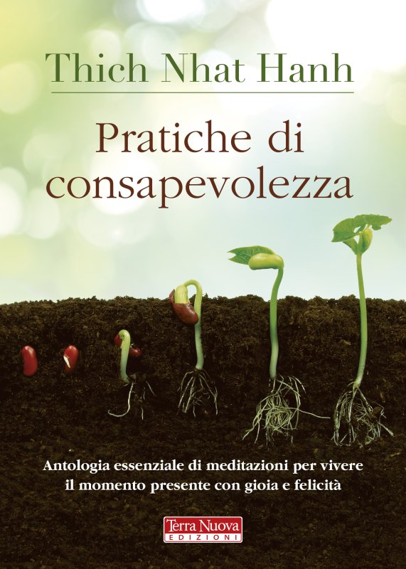 Pratiche di consapevolezza - Ebook