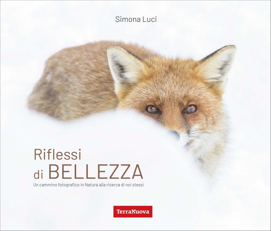 Riflessi di bellezza - Ebook
