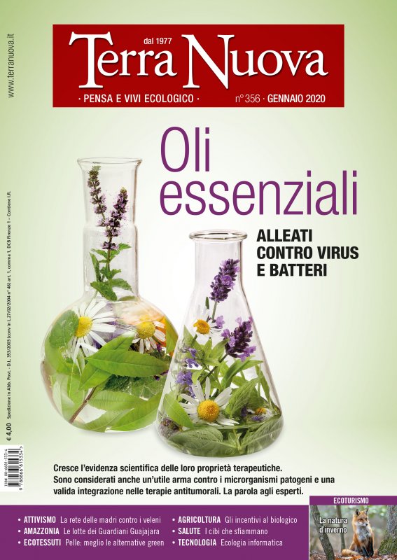 Terra Nuova Gennaio 2020