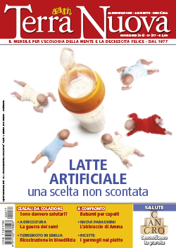 Terra Nuova Novembre 2012 (digitale pdf)