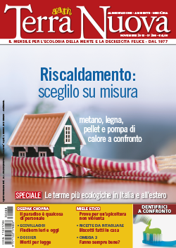 Terra Nuova Novembre 2013 (digitale pdf)