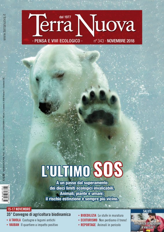 Terra Nuova Novembre 2018