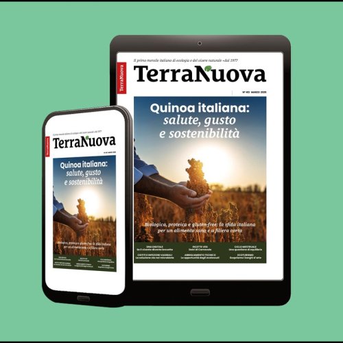 Abbonamento digitale