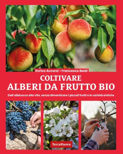 Coltivare alberi da frutto bio