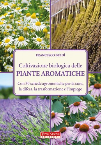 Coltivazione biologica delle piante aromatiche