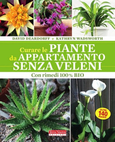 Curare le piante da appartamento senza veleni
