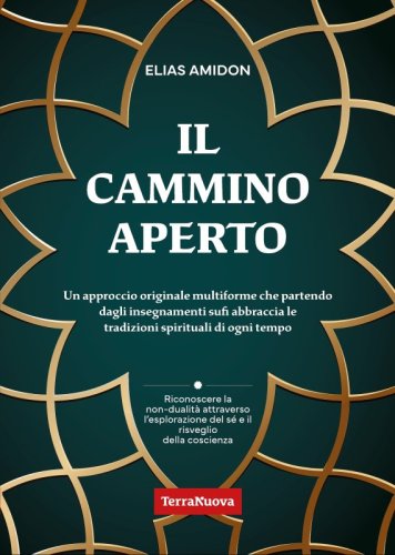 Il cammino aperto - Ebook