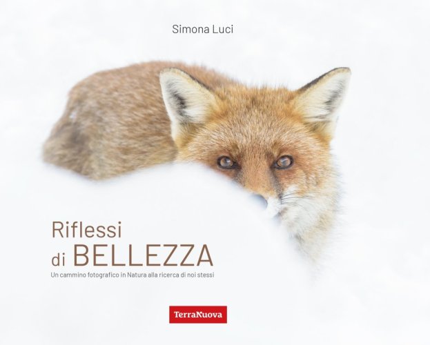 Riflessi di bellezza