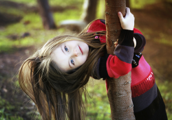 La Mappa della Scuola che Cambia 