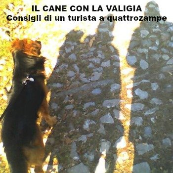 "Emozioni a sei zampe" sul blog "Il cane con la valigia"