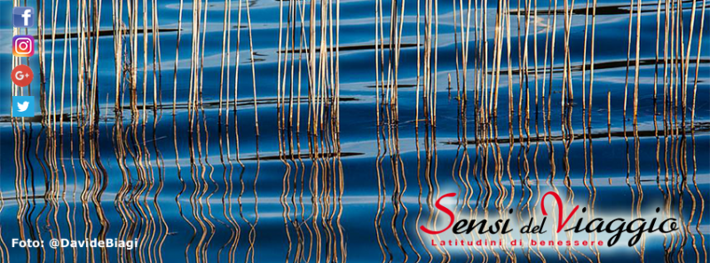 &quot;La saggezza dello sciamano&quot; su Sensi del Viaggio