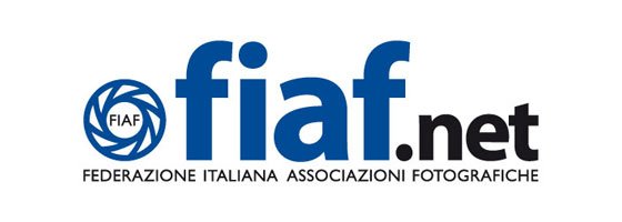 Simona Luci intervistata su Fiaf.net
